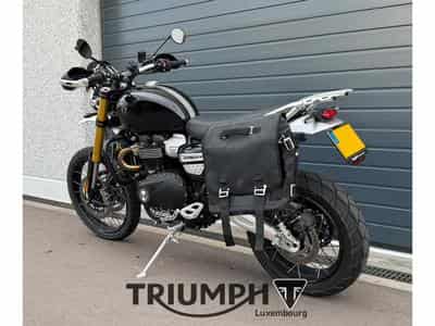Triumph Scrambler SCRAMBLER 1200 XE (2026) - Foto 2