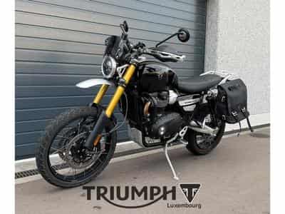 Triumph Scrambler SCRAMBLER 1200 XE (2026) - Foto 3