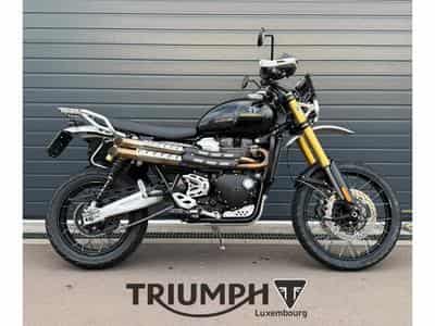 Triumph Scrambler SCRAMBLER 1200 XE (2026) - Foto 4