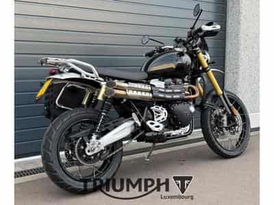 Triumph Scrambler SCRAMBLER 1200 XE (2026) - Foto 5