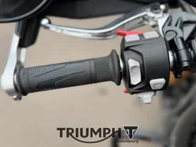 Triumph Scrambler SCRAMBLER 1200 XE (2026) - Foto 7