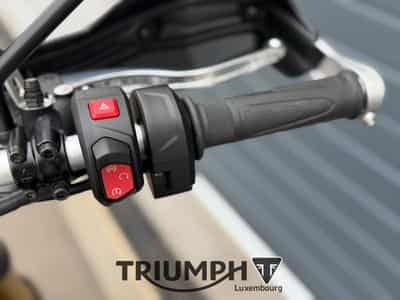 Triumph Scrambler SCRAMBLER 1200 XE (2026) - Foto 9