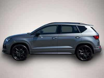 Cupra Ateca (2026) - Photo 3