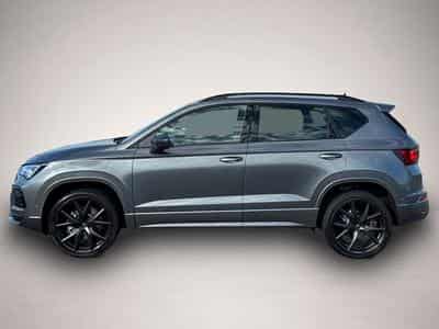 Cupra Ateca (2026) - Photo 3