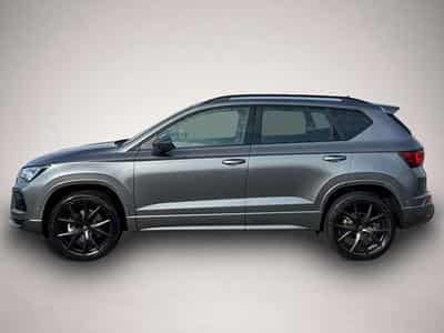 Cupra Ateca (2026) - Photo 3