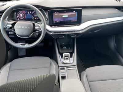 Skoda Octavia (2025) - Photo 7