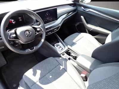 Skoda Octavia (2023) - Photo 3