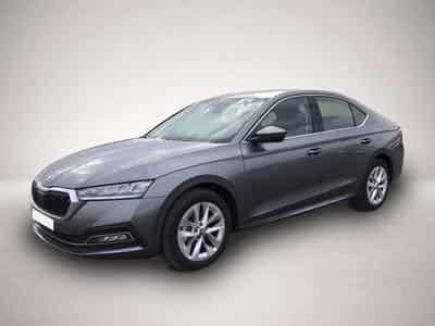 Skoda Octavia (2023) - Photo 7