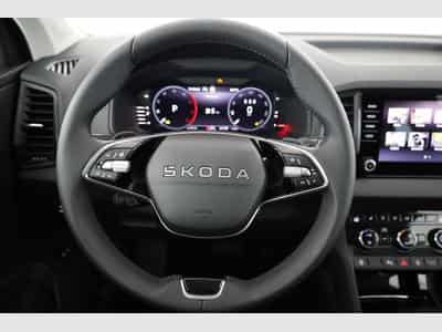 Skoda Karoq Selection (2026) - Photo 5