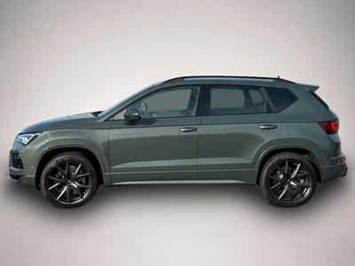 Cupra Ateca (2026) - Foto 3