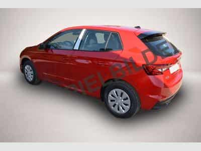 Skoda Fabia (2026) - Foto 3