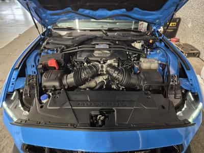 Ford Mustang 5.0 V8 GT LIMITED EDITION WR N°006 GARANTIE FORD 04/2030 (2025) - Foto 8