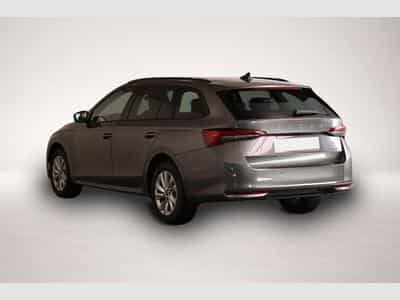 Skoda Octavia (2026) - Foto 3