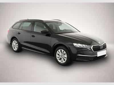 Skoda Octavia (2026) - Foto 3
