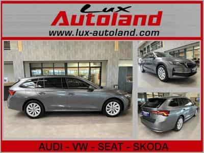 Skoda Octavia (2026) - Foto 1