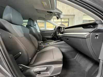 Skoda Octavia (2026) - Foto 6