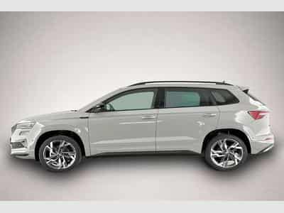 Skoda Karoq (2026) - Foto 3