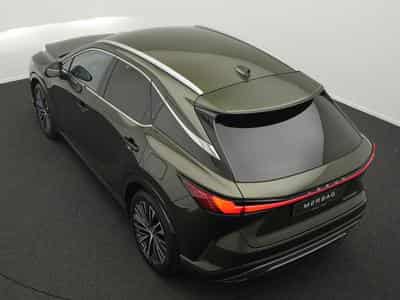 Lexus RX 350h Luxury Line (2024) - Foto 13