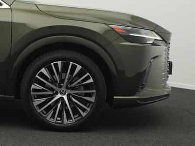 Lexus RX 350h Luxury Line (2024) - Foto 8