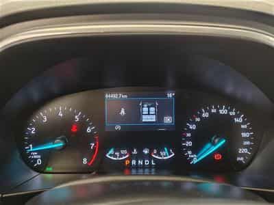 Ford Focus 1.0 EcoBoost 125cv Powershift Active NAVI / FULL LED (2023) - Photo 10