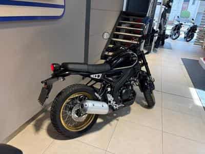 Yamaha XSR (2023) - Photo 4