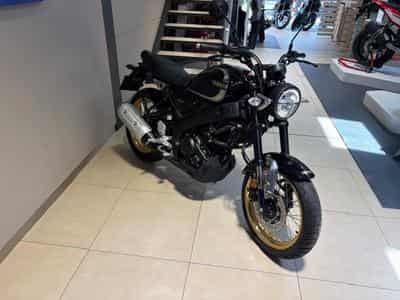 Yamaha XSR (2023) - Photo 5