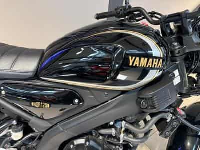 Yamaha XSR (2023) - Photo 6