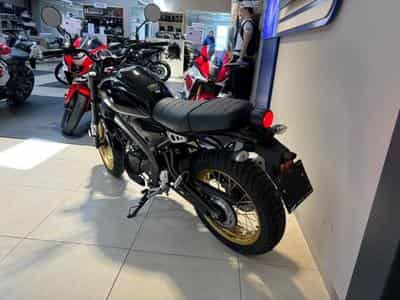 Yamaha XSR (2023) - Photo 7
