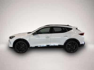 Cupra Formentor (2026) - Photo 3