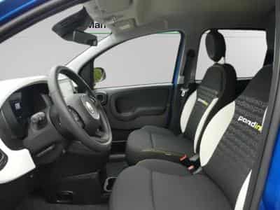 Fiat Panda Pandina Cross Hybride 1.0 (2026) - Photo 10