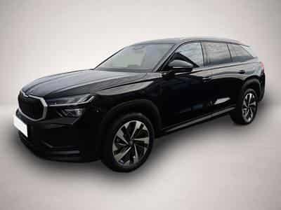 Skoda Kodiaq (2026) - Photo 3