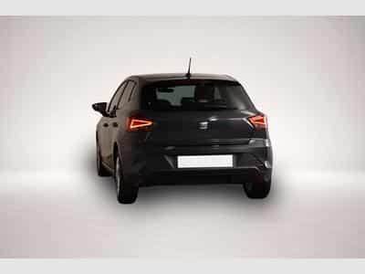 Seat Ibiza (2026) - Photo 4