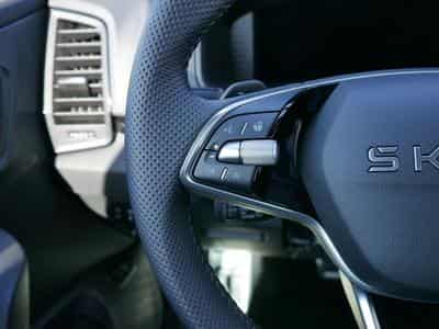 Skoda Karoq Sportline 2.0 TSI 4x4 DSG (2026) - Foto 11