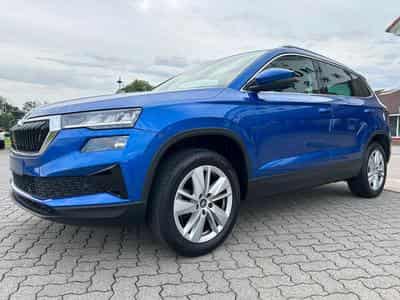 Skoda Karoq Selection (2025) - Foto 1