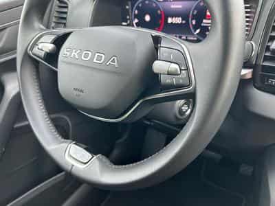 Skoda Karoq Selection (2025) - Foto 7