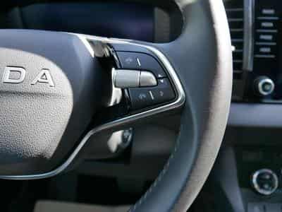 Skoda Karoq Selection 1.5 TSI (2025) - Foto 4
