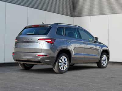 Skoda Karoq Selection (2026) - Foto 3