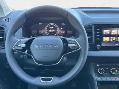 Skoda Karoq Selection (2026) - Foto 7