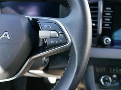 Skoda Karoq Selection (2025) - Foto 13