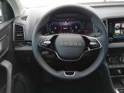 Skoda Karoq Selection (2026) - Photo 4