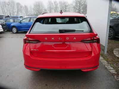 Skoda Octavia Selection (2026) - Foto 2