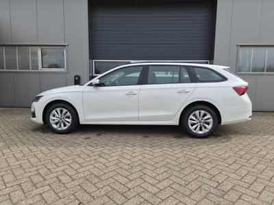 Skoda Octavia 1.5 TSI 150PS (2026) - Foto 2