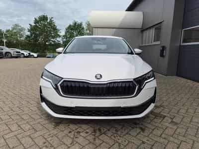 Skoda Octavia 1.5 TSI 150PS (2026) - Foto 8