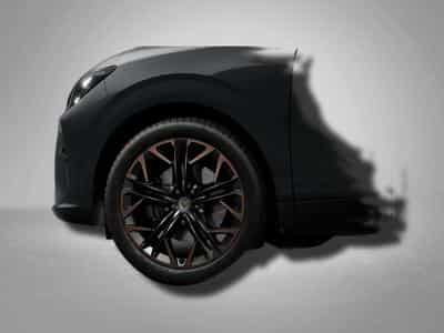 Cupra Terramar VZ 2.0 TSI 7-Gang-DSG 4Drive (2026) - Foto 4