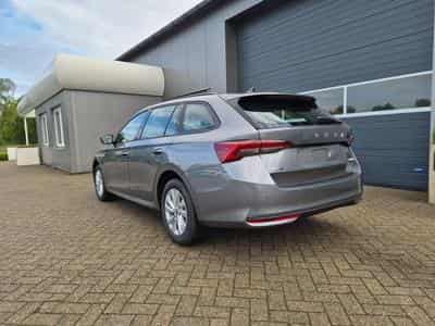 Skoda Octavia 1.5 TSI 150PS (2026) - Foto 3