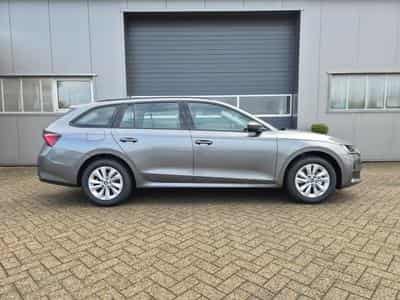 Skoda Octavia 1.5 TSI 150PS (2026) - Foto 6