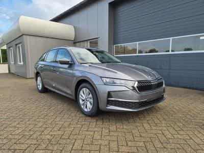 Skoda Octavia 1.5 TSI 150PS (2026) - Foto 7