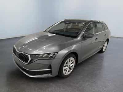 Skoda Octavia Selection (2026) - Foto 3