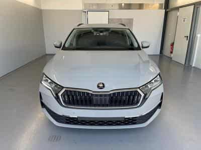 Skoda Octavia Selection (2026) - Foto 2