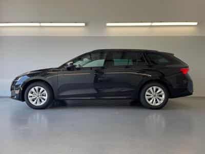 Skoda Octavia Selection (2026) - Foto 2